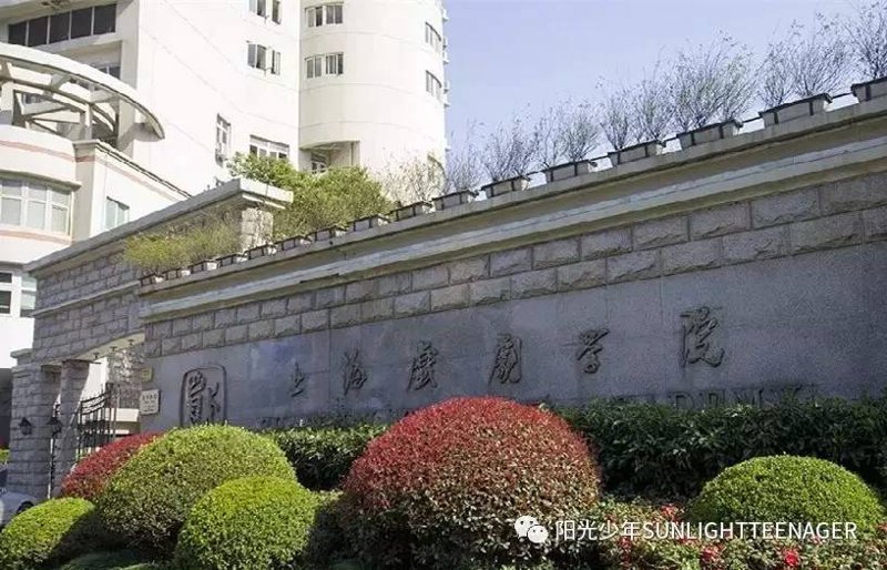 上戏艺术人才培养